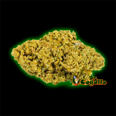 FLORES ONLY CBD MANGO HAZE - Dr.Cogollo CBD Shop