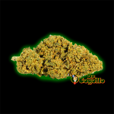 FLORES ONLY CBD AMNESIA OG - Dr.Cogollo CBD Shop
