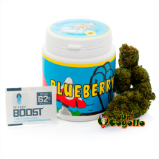 Flor CBD BLUEBERRY Bee Products - Dr.Cogollo CBD Shop