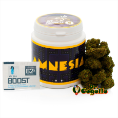 Flor CBD AMNESIA Bee Products - Dr.Cogollo CBD Shop