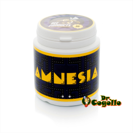 Flor CBD AMNESIA Bee Products - Dr.Cogollo CBD Shop