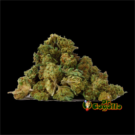 FLORES CBD SMALL BUDS 25 GR GORILLA GRILLZ