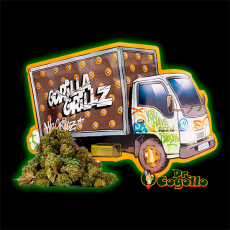 FLORES CBD SMALL BUDS 25 GR GORILLA GRILLZ