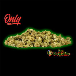 FLORES MINI BUDS BANANA 25 GR Only CBD