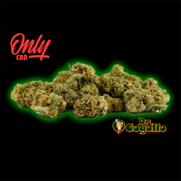 FLORES MINI BUDS GOLDEN NUGGETS 25 GR Only CBD