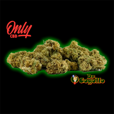 FLORES MINI BUDS GOLDEN NUGGETS 25 GR Only CBD