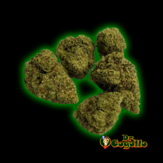 FLORES SMALL BUDS JUMBO PINK KUSH 25 GR XUXES CBD