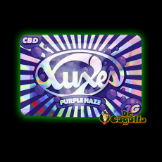 Flores Xuxes CBD PURPLE HAZE Indoor 3 GR. - Dr.Cogollo CBD Shop