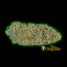 Flores Xuxes CBD AMNESIA 3 GR. 2