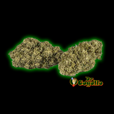 Flores Xuxes CBD APPLE JACK 3 GR. 2