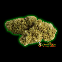 Flores Xuxes CBD GREEN BERRY 3 GR. - Dr.Cogollo CBD Shop
