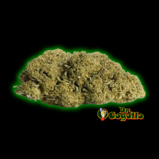 Flores Xuxes CBD KUSH MINTZ 3 GR. - Dr.Cogollo CBD Shop 2