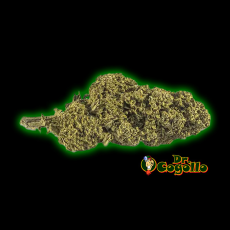 Flores Xuxes CBD LEMON 3 GR.