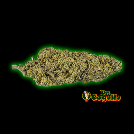 Flores Xuxes CBD STRAWBERRY 3 GR.