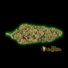 Flores Xuxes CBD STRAWBERRY 3 GR.
