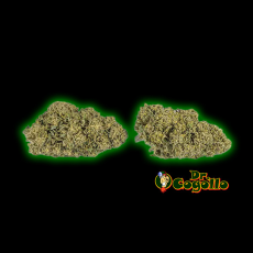 Flores Xuxes CBD WATERMELON 3 GR.