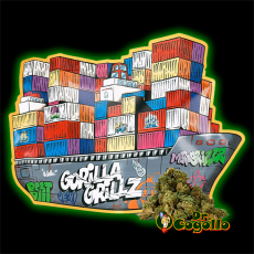 FLORES CBD SMALL BUDS 100 GR GORILLA GRILLZ
