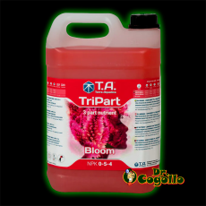 TRIPART BLOOM TERRA AQUATICA / GHE 2