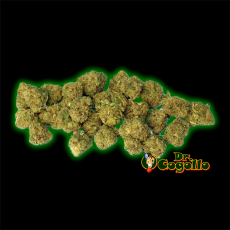 FLOR CBD SMALL BUDS COLMENITAS 25 GR BEE PRODUCTS 2