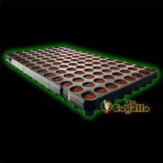 BANDEJA CON 104 TACOS PLUGIN PRO