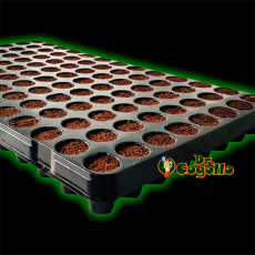BANDEJA CON 104 TACOS PLUGIN PRO