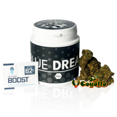 Flor CBD BLUE DREAM Bee Products - Dr.Cogollo CBD Shop