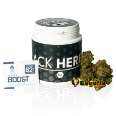 Flor CBD JACK HERER Bee Products - Dr.Cogollo CBD Shop