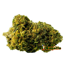 Flor CBD JACK HERER Bee Products - Dr.Cogollo CBD Shop