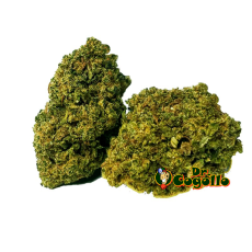 Flor CBD SOUR DIESEL Bee Products - Dr.Cogollo CBD Shop 2