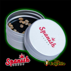 50 Semillas AUTO AK Spanish Seeds.