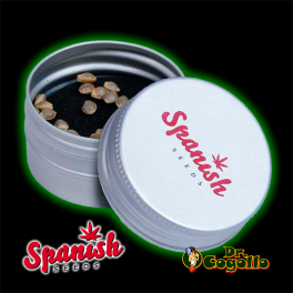 50 Semillas AUTO SOMANGO Spanish Seeds.