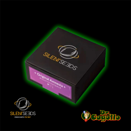 Semillas ORIGINAL AMNESIA Silent Seeds - Dr. Cogollo