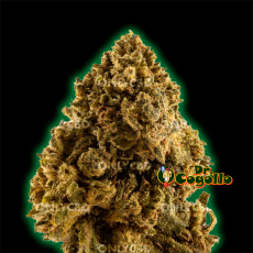 FLORES ONLY CBD ZKITTLEZ - Dr.Cogollo CBD Shop 2