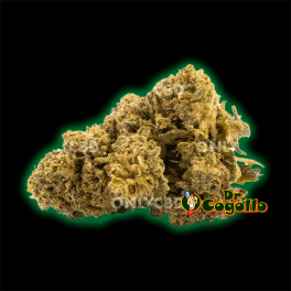 FLORES ONLY CBD ZKITTLEZ - Dr.Cogollo CBD Shop