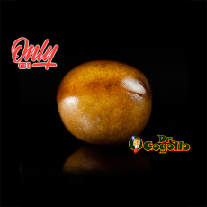 HASH PIATELLA 2 GR Only CBD - Dr.Cogollo CBD Shop 2