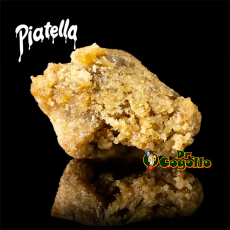 HASH PIATELLA 2 GR Only CBD - Dr.Cogollo CBD Shop