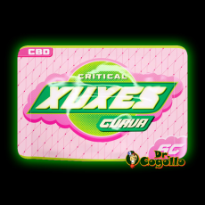 Flores Xuxes CBD CRITICAL GUAVA 6 GR - Dr.Cogollo CBD Shop