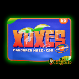 Flores Xuxes CBD MANDARIN HAZE 6 GR - Dr.Cogollo CBD Shop