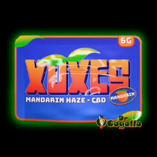 Flores Xuxes CBD MANDARIN HAZE 6 GR - Dr.Cogollo CBD Shop