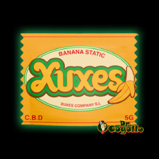 Hash Xuxes CBD BANANA STATIC 5 GR. 2