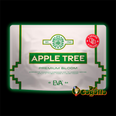 FLORES INDOOR PREMIUM APPLE TREE 3 GR EVA CBD