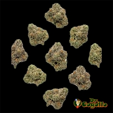 FLORES MEGA SMALL BUDS 50 GR XUXES CBD 2