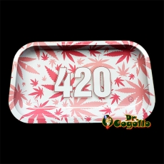 BANDEJA METAL V-SYNDICATE 420 BLANCO ROSA GRANDE 27x16 CM